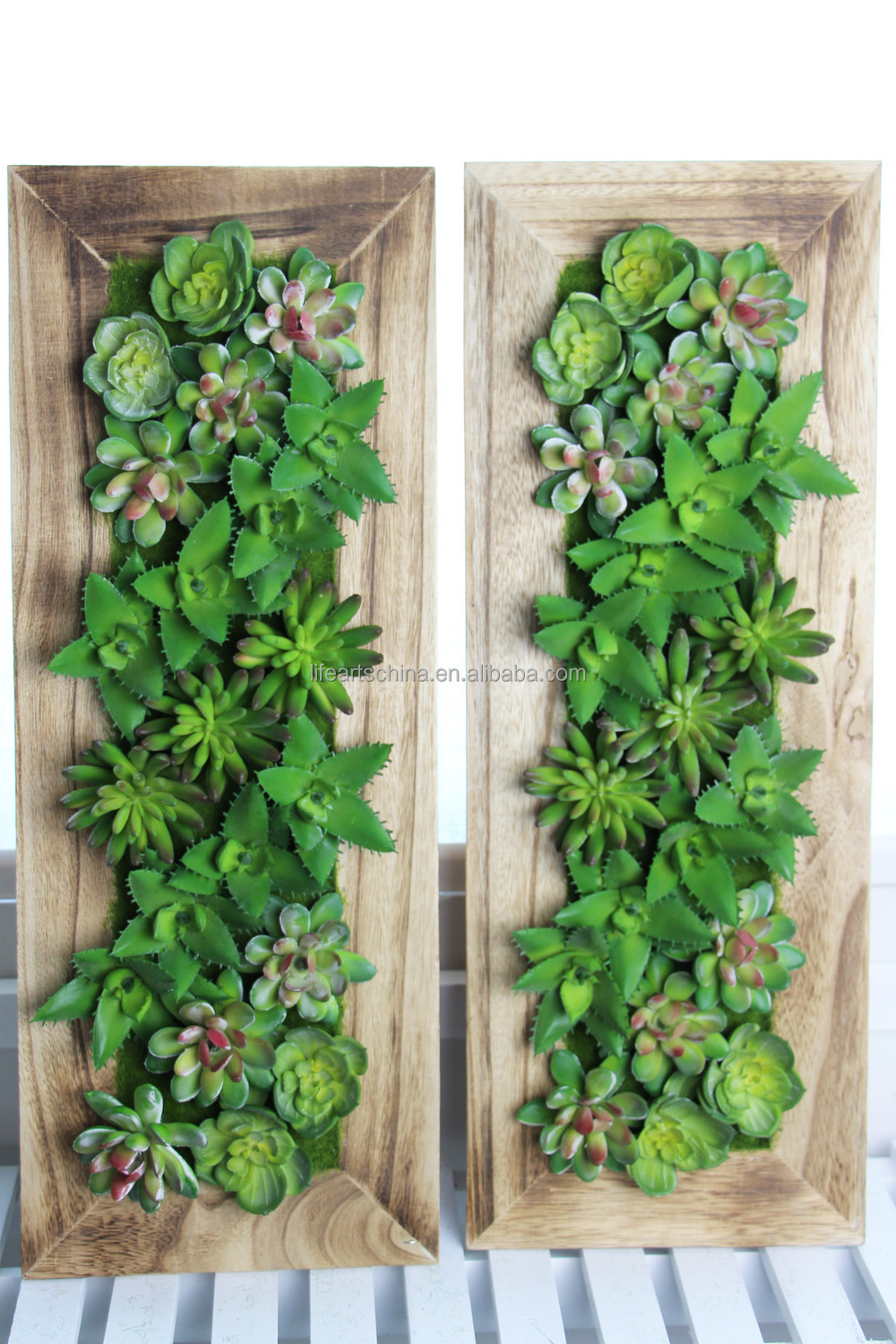 分類された多肉植物、 5020cm無垢材のフレーム、 吊り植物、 destktop植物仕入れ・メーカー・工場