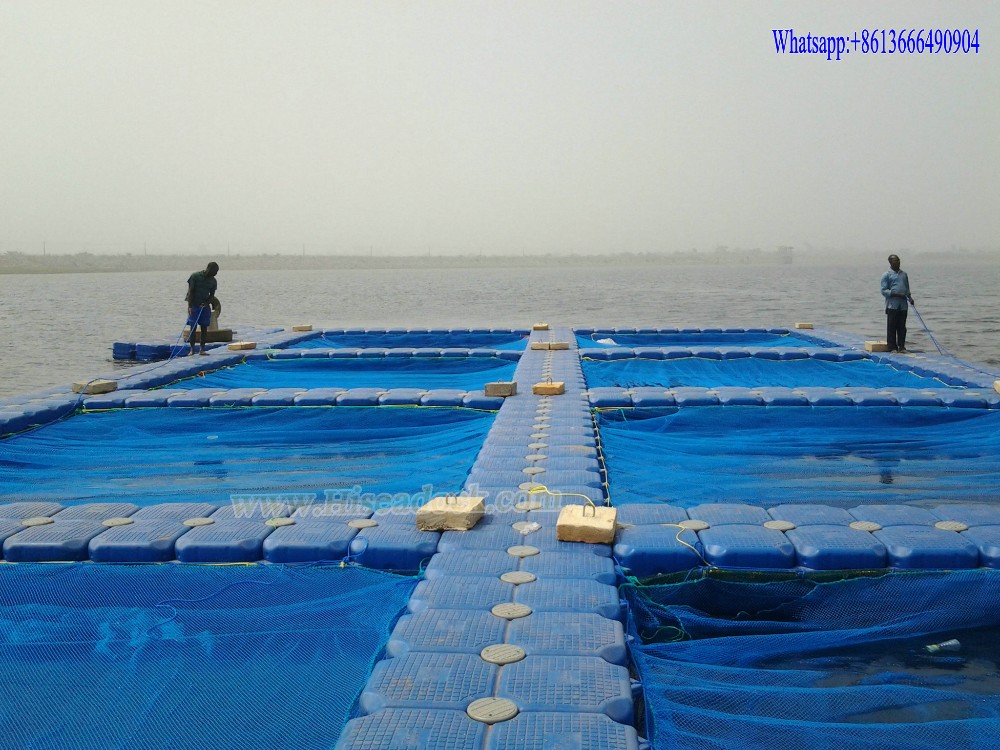 Plastic Floating Fish Cage Buy Fish Cage Floating,Aquaculture Fish