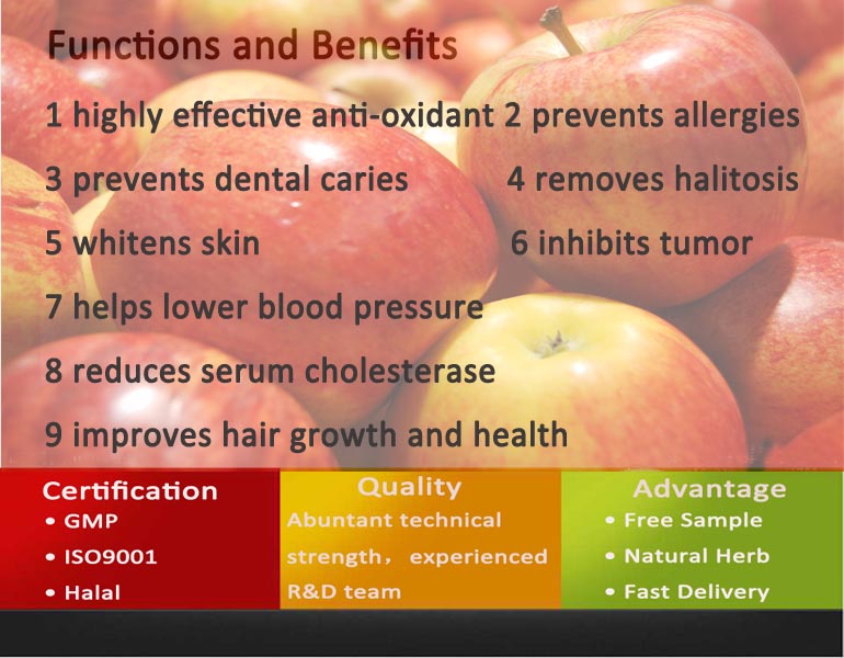 Organic Apple Powder/Instant Apple Tea Powder/Apple Powder