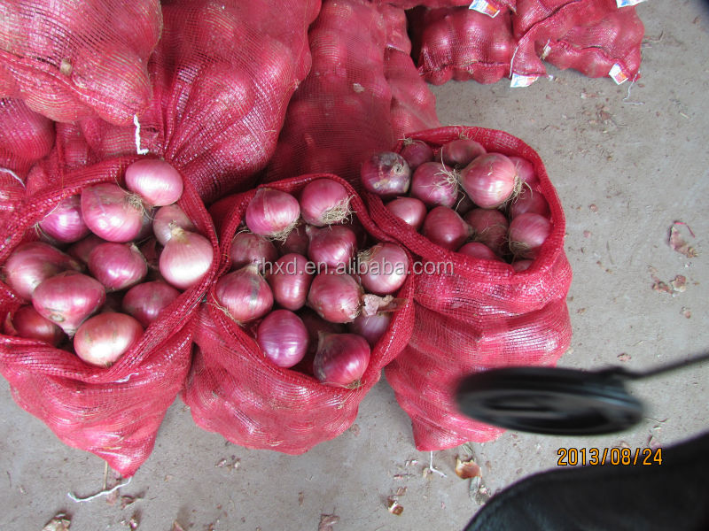 fresh onion 2014 new crop onion with lowest price