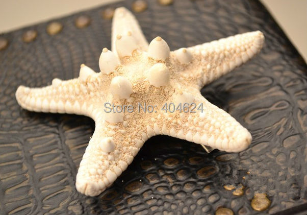 2014 Hot New Trendy Natural Headwear Big Starfish Pattern Women Beach Holiday S/L Hair Barrettes Head Decoration FreeShipping