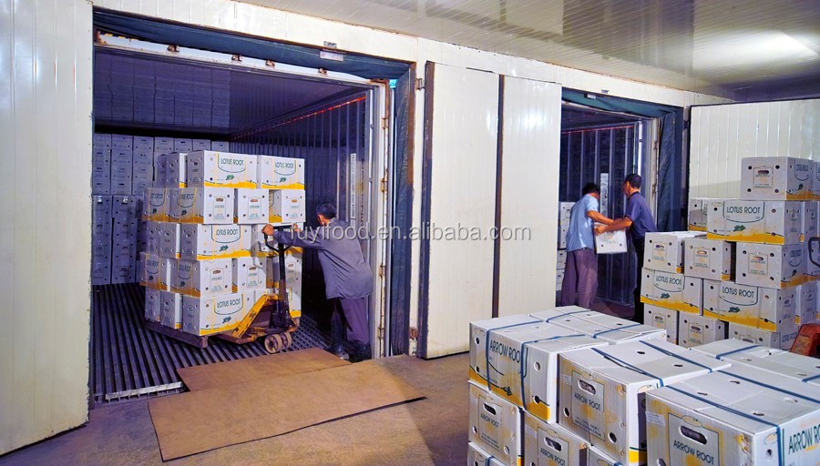 cold storage 2.jpg