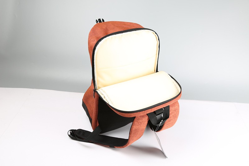 school backpack