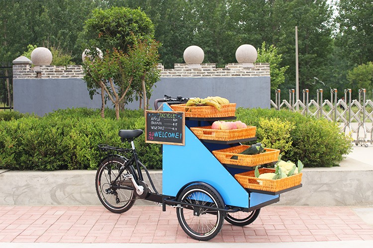 3 Wheel Street Mobile Fast Food Vending Bike Cart For Sale Buy Vending Bike,Vending Cart