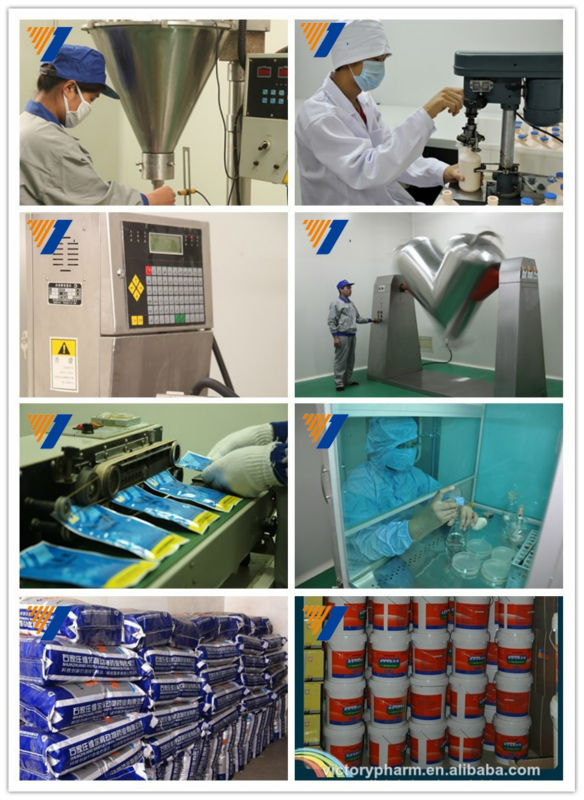 gmp製造業者2014年shuanghuanglian経口液体呼吸器系医療機器問屋・仕入れ・卸・卸売り
