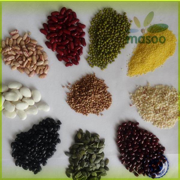 Local fresh plush red carrot /export price for chinese fresh red carrot