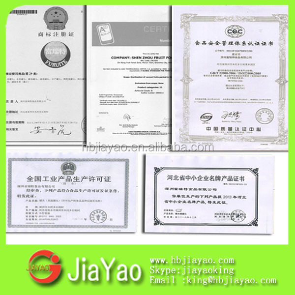 Bulk Buy Chinese canned tomato paste in sauce,China OEM price supplier