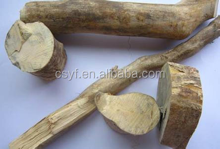 Tongkat Ali Extract