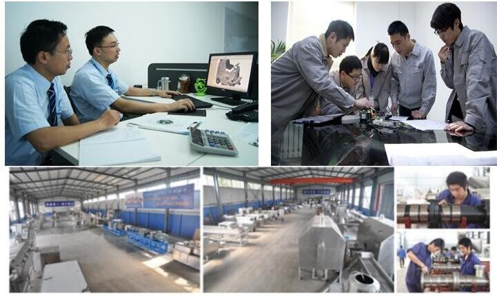 中国saixin 20-250キログラム/時間質感大豆タンパク質食品製造機仕入れ・メーカー・工場