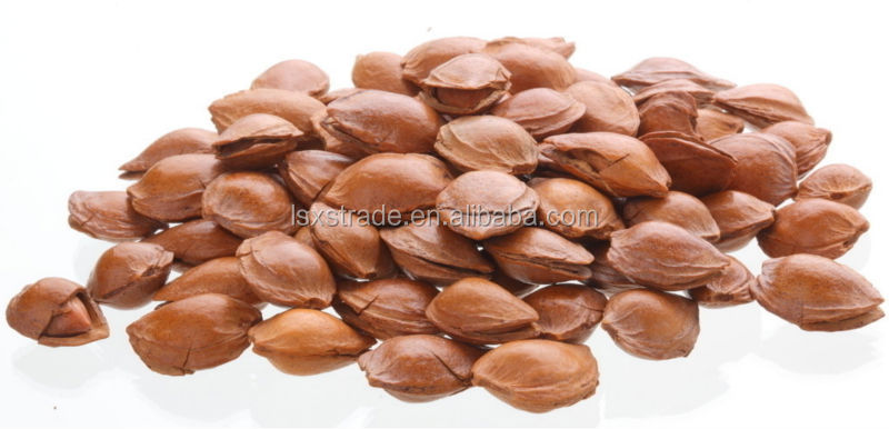 New Crop Almond in Shell