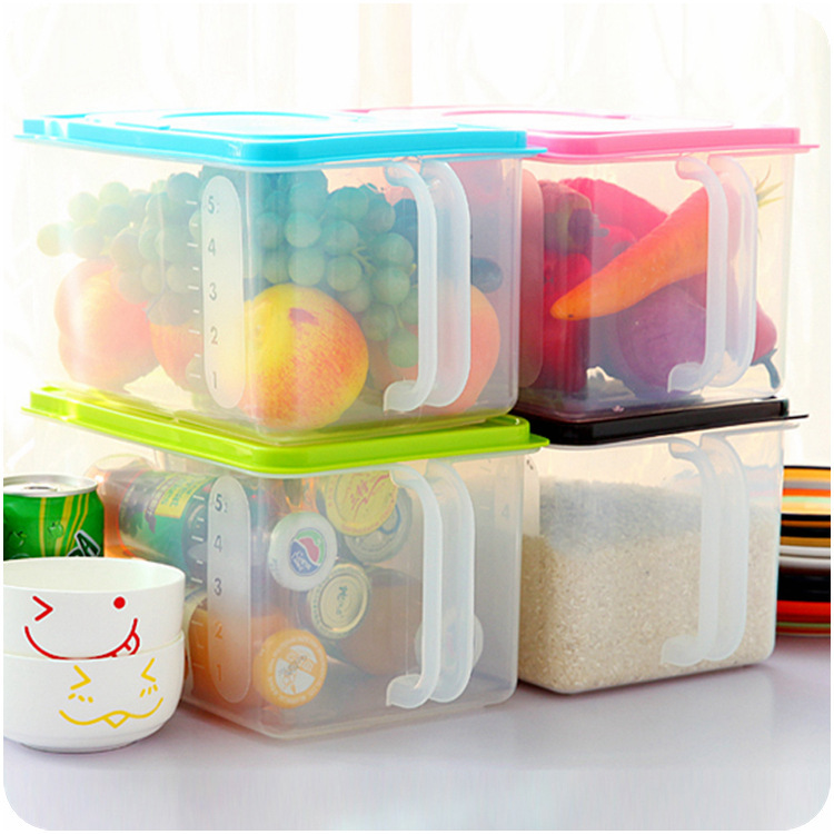 food storage box with handle