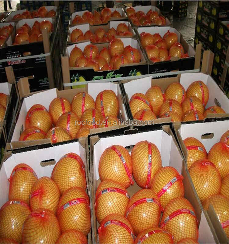 new harvest fresh citrus fruit guanxi honey pomelo price