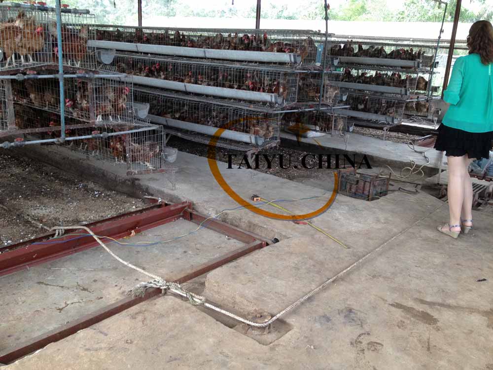 Automated trading system in kenya