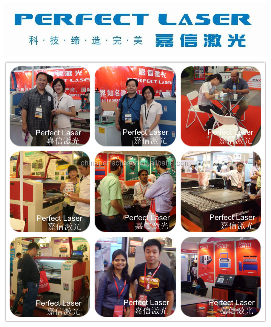 Perfect Laser Exhibition photo 2.jpg
