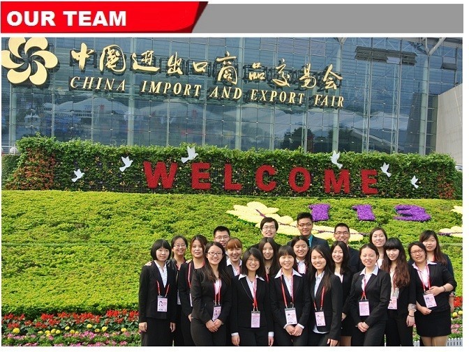 our sales team of shearing machine,press brake machine and cnc plasma cutting machine.jpg