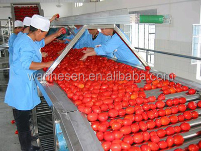 maling brand tomato paste sauces hot selled in dubai