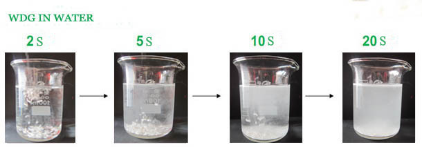 WDG in water.jpg