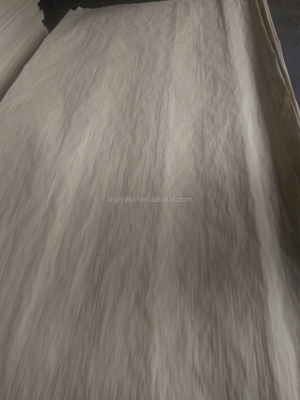 EV recon veneer.jpg