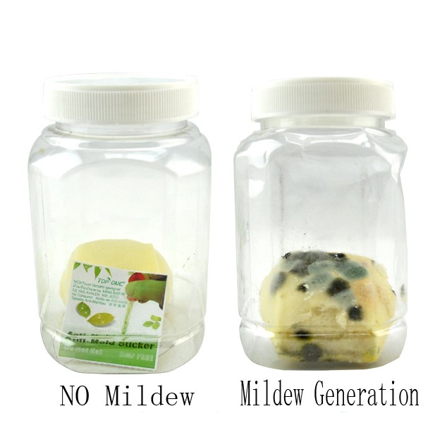 Mildew prevention effectively.jpg