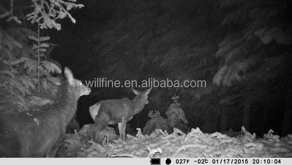 8mp 720 p 940nm目に見えない赤外線led防水ip54バッテリ駆動屋外野生生物狩猟カメラ仕入れ・メーカー・工場