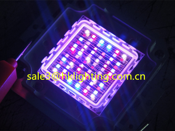 Factory Price Epileds 40mil chips 10w RGB LED Module (4).jpg