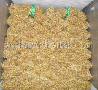 bulk fresh ginger, Chinese Ginger