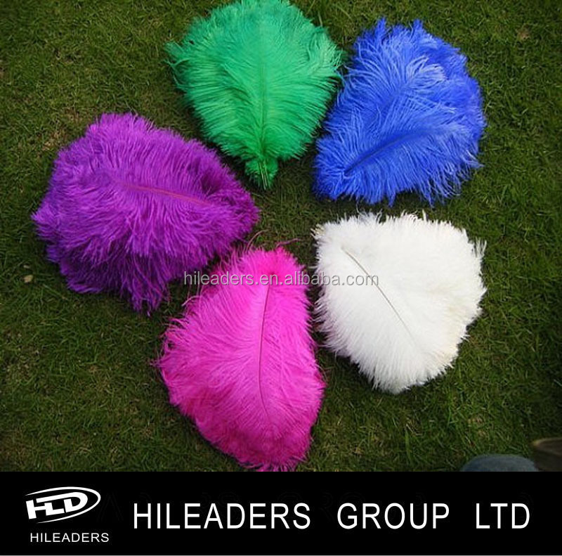 ostrich feather..
