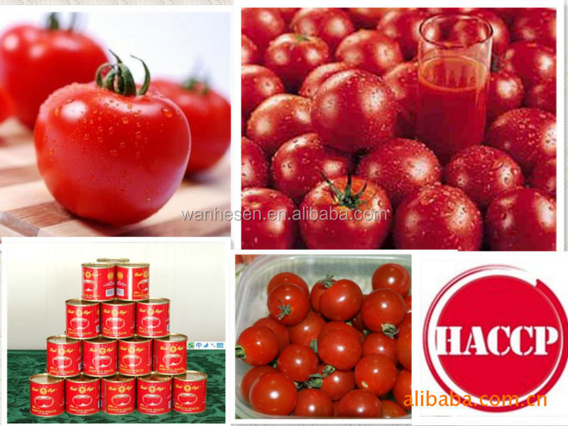 220L brix 36-38 tomato paste, ketchup, tomato sauce in drum