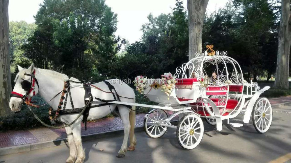 Horse carriage.jpg
