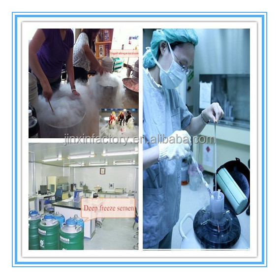 液体窒素の容器yds-10iso/デュワー/tank精液と胚を格納するための仕入れ・メーカー・工場