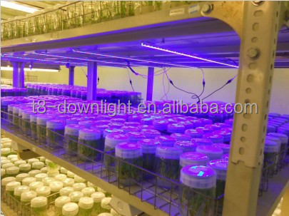 -450470nm3w青色led水族館用/光を育てる、 植物成長ランプ仕入れ・メーカー・工場