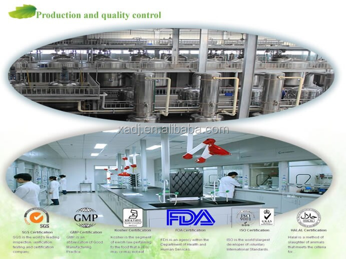 cocoa seed extract powder,cocoa beans oil extraction,cocoa bean hydraulic oil press