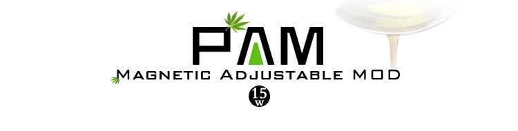 PAM_01