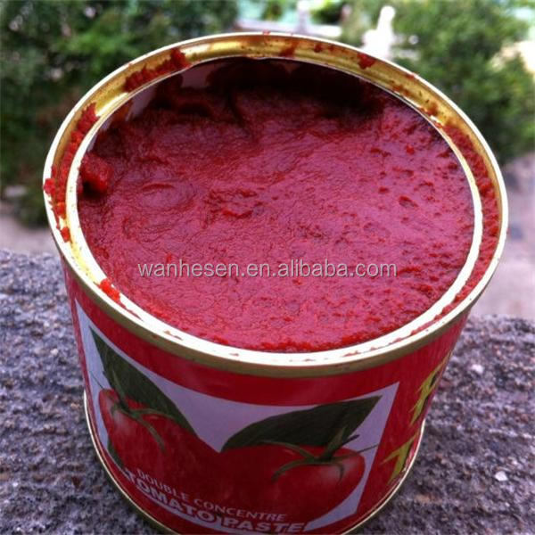 High Quality tomato paste production 210gx48tins