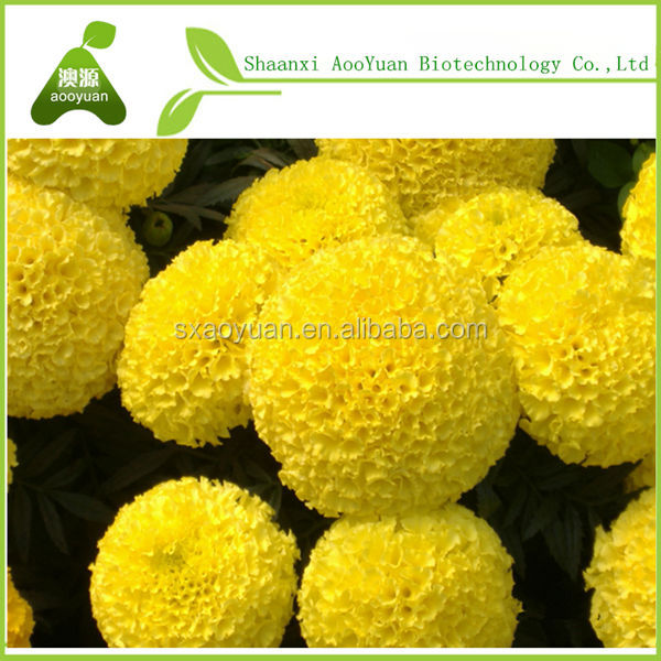 Marigold extract zeaxanthin 5% HPLC