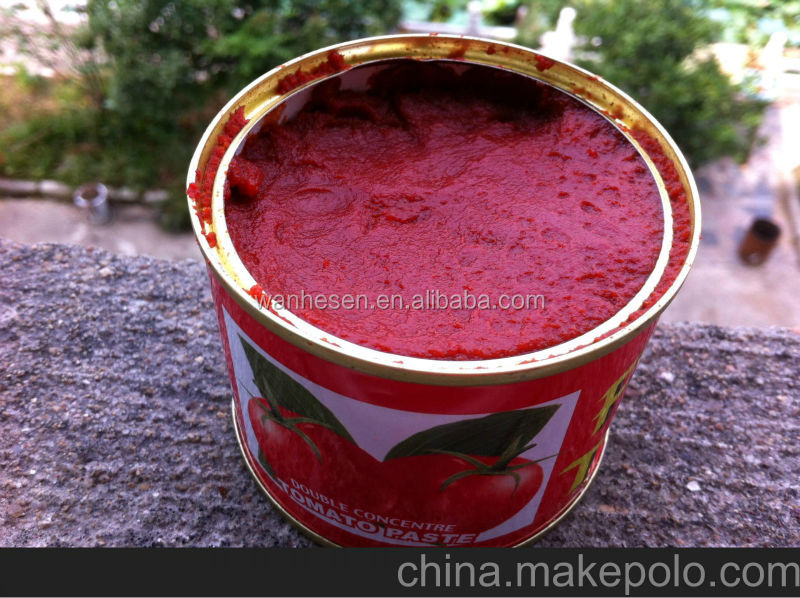 tomato paste sauce, export to Africa,Mid-east,Europe