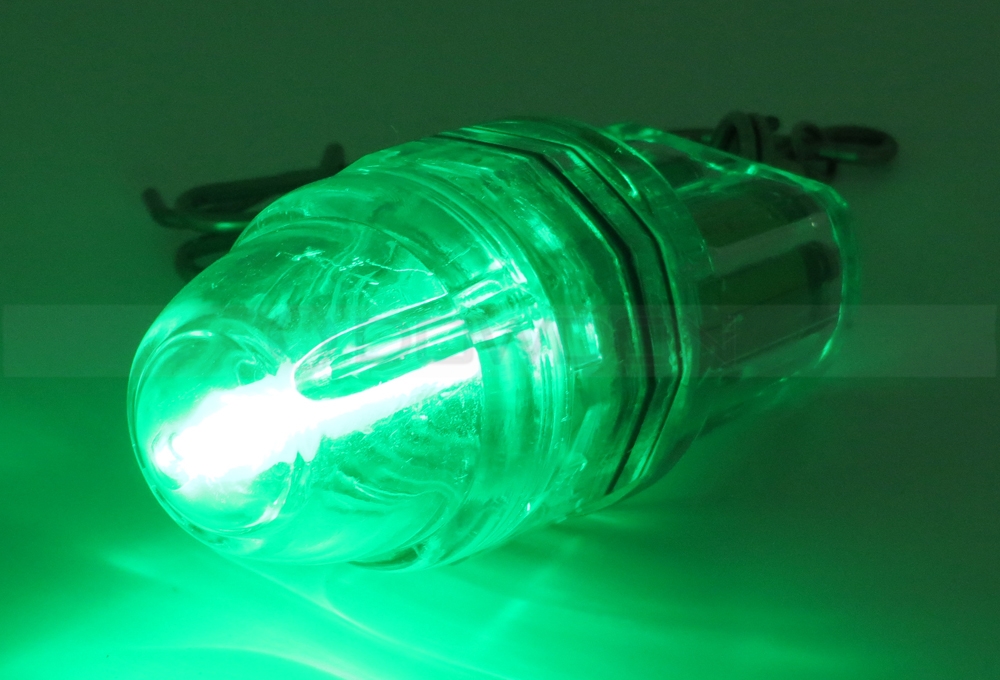  led fishing light (4).JPG