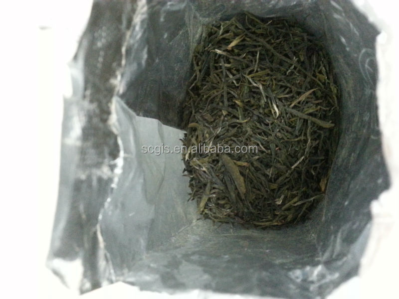 China organic green tea maojian