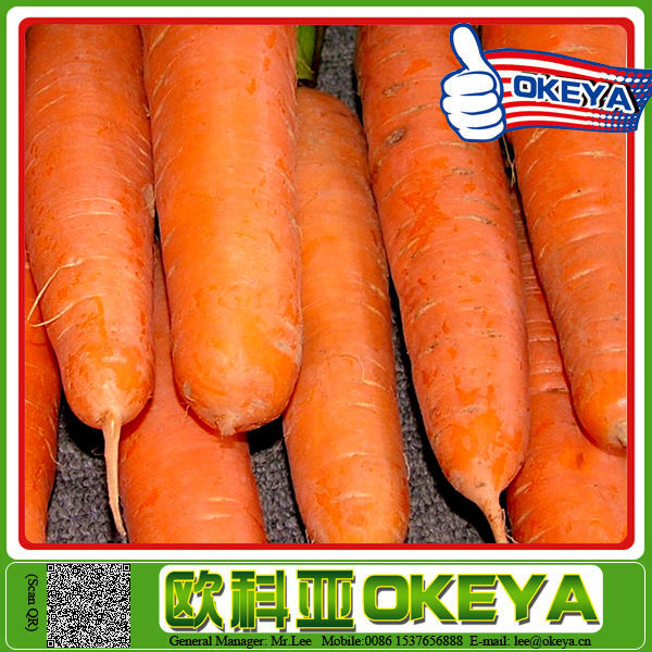 2014 wholesale newest arrival black carrot seeds