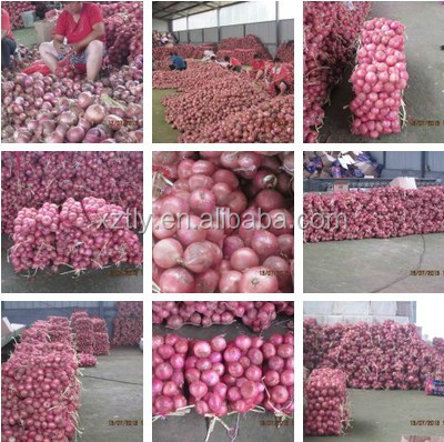 Fresh red onion with low price