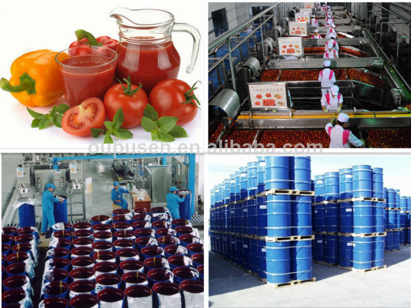 Best Offer from best tomato paste production line