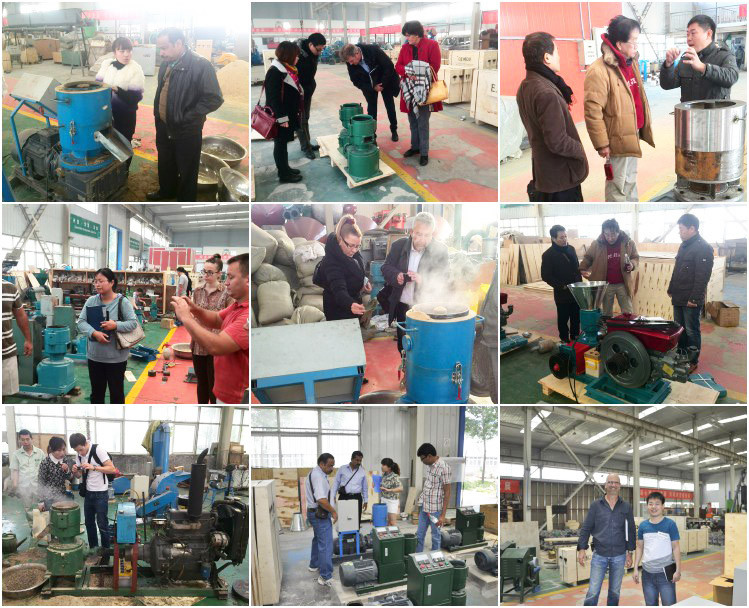 factory price r-type fire wood pellet machine for sale