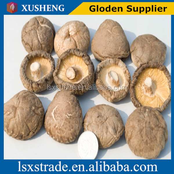 dried shiitake mushroom hot sale(B)