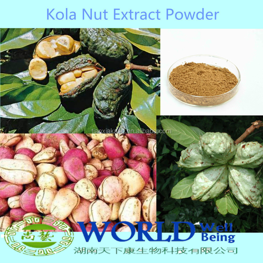 gmp factory colanut seed extract powder/kola nut