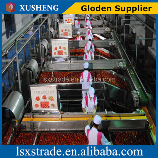 Competitive price tomato paste hot selling (B)