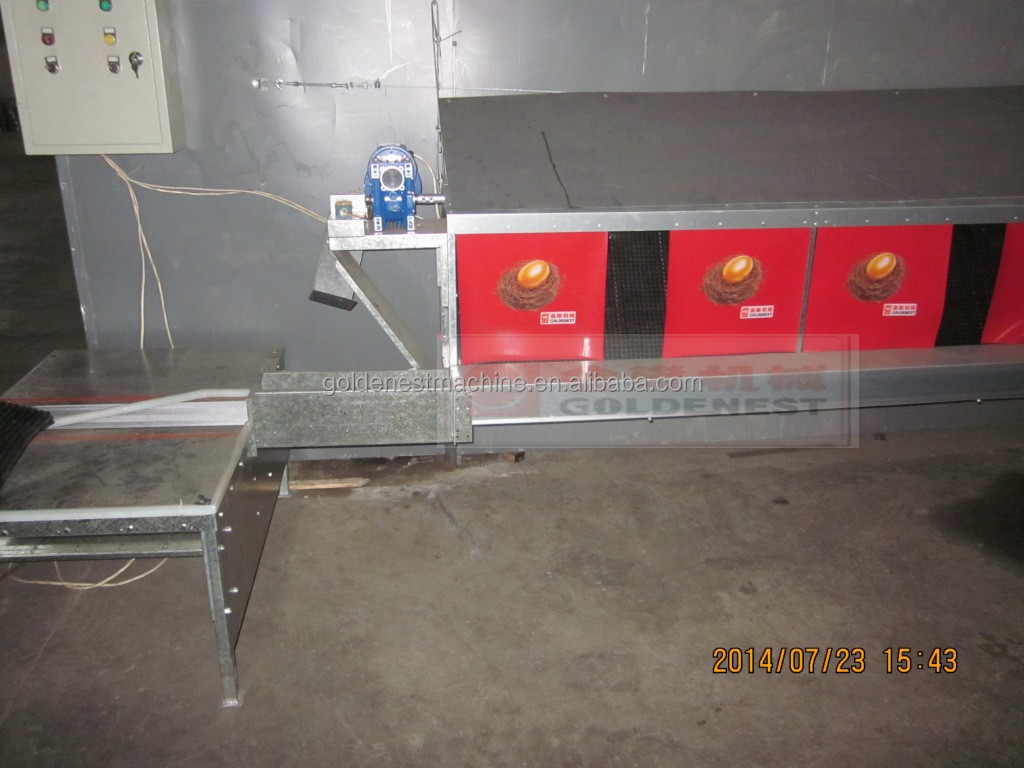 automatic egg collecting system-2.jpg
