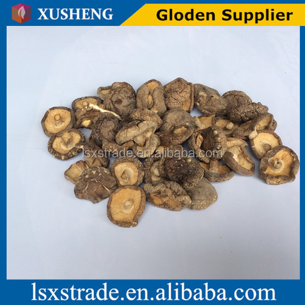 shiitake mushroom with low price (B)