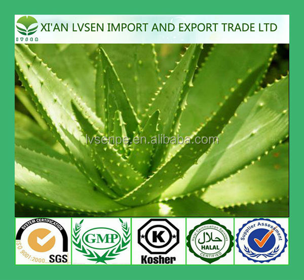 Making skin soft and elastic and dispeling spot aloe vera extract powder