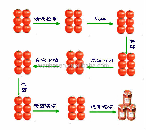Best taste tomato ketchup concentrated in glass bottle 500gX12bottles