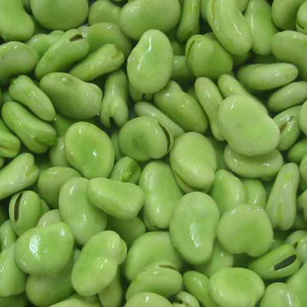 2014 IQF Cauliflower in Frozen vegetables